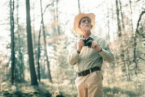 Retired man with hat and camera looking up at trees in forest. Stock Photos