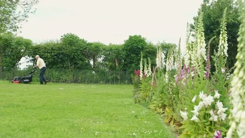 Retired middle aged man mowing the lawn in English garden in spring time Stock Footage 197129633