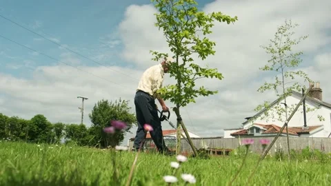 Retired middle aged man trimming grass in English garden Stock Footage 197128959
