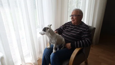 Retired person in striped pullover and blue jeans pets dog Stock Footage 110834987