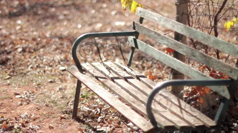 Retirement  Video stock 1060083