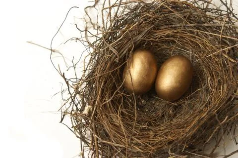 Retirement Nest Egg Stock Photos
