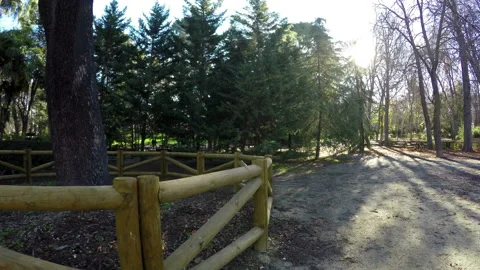 Retiro park in Madrid Stock Footage 101897316