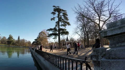 Retiro park in Madrid Stock Footage 104339096