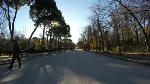 Retiro park in Madrid Stock Footage 104704114