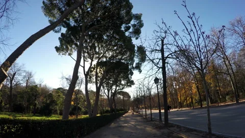 Retiro park in Madrid Stock Footage 104704236