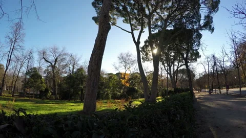 Retiro park in Madrid Stock Footage 104704405