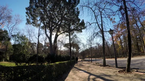 Retiro park in Madrid Stock Footage 104704546