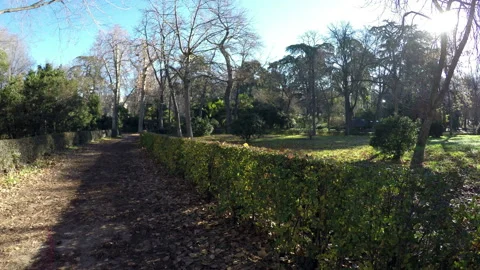 Retiro park in Madrid Stock Footage 104704726