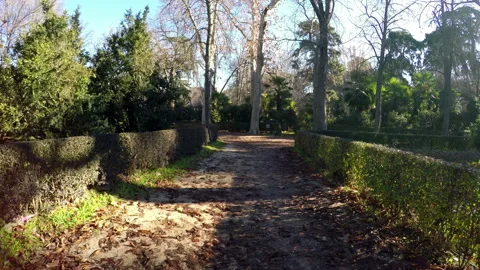 Retiro park in Madrid Stock Footage 104704779