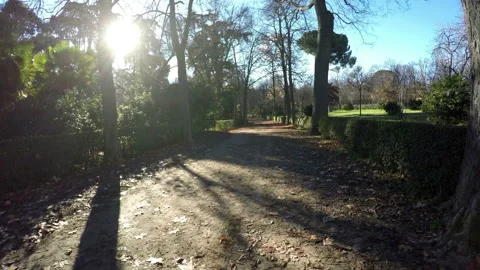 Retiro park in Madrid Stock Footage 104705034