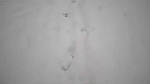 Retracing footsteps on snowy ground while snow is falling Stock Footage 167857821