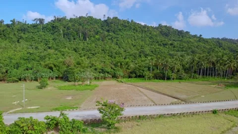 Retreating flight over patchwork rice paddies and rural road revealing dense Video stock 336999324
