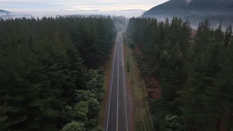 Retreating reveal above an empty highway between dense pine forest unveiling Stock Footage 344073147