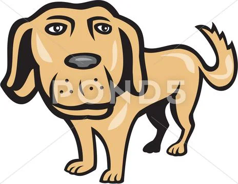 Retriever dog big head isolated cartoon Stock Illustration