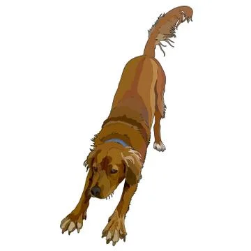 Retriever Stock Illustration