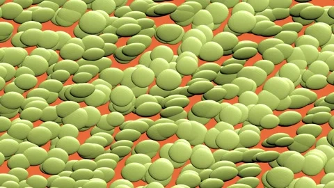 Retro 70s Abstract Orange and Olive Green Discs Pattern. Stock Footage 339072328