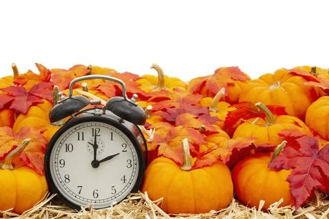 Retro alarm clock with orange pumpkins with fall leaves on straw hay isolated Stock Photos