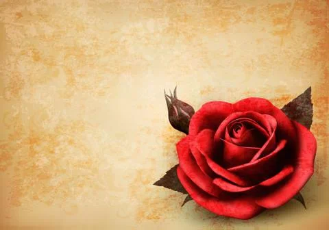 Retro background with beautiful red rose with buds. vector illustration. Stock Illustration