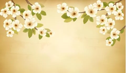 Retro background with blossoming tree brunch and white flowers. vector. Stock Illustration