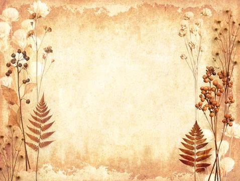 Retro background with dry pressed leaves and flowers on paper texture. Craf.. Stock Illustration
