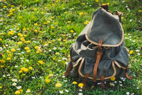Retro backpack on a meadow Foto stock