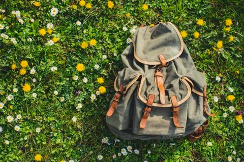 Retro backpack on a meadow Foto stock