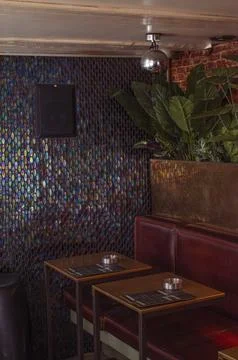 Retro bar with dim lighting, tiles in a colourful scale pattern, green plant, Stock Photos