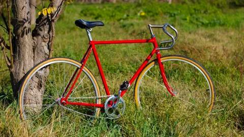 Retro bicycle on the grass Foto stock