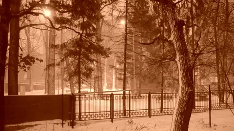 Retro Blizzard Stock Footage 83727672