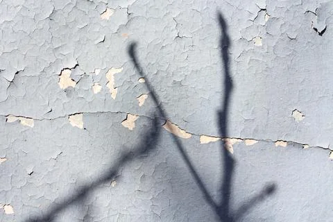 Retro blue gray background with tree branches shadows Stock Photos