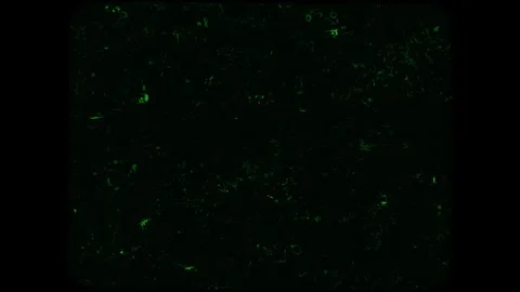 Retro Camera Effect on Green Screen | Dynamic Transition Animation Stock Footage 312476964