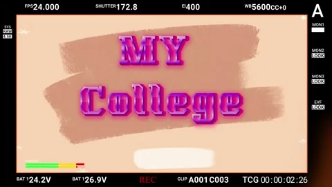 Retro camera interface showing animated text over paint brush strokes with Stock Footage 345128701