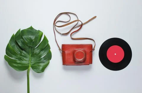 Retro camera in a leather case with strap, vinyl record and green monstera le Stockfoto's
