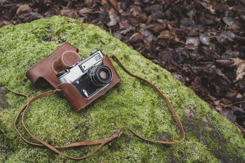 Retro camera lying on the mossy stone Stock Photos