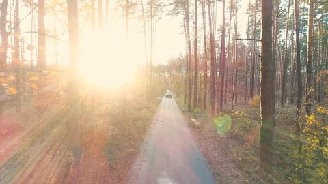 Retro car rides in forest in sunlight Stock Footage 91781835