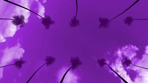 Retro Chillwave 80's Stock Footage 116270182