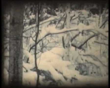 Retro cine - Winter Branches Stock Footage 2018650