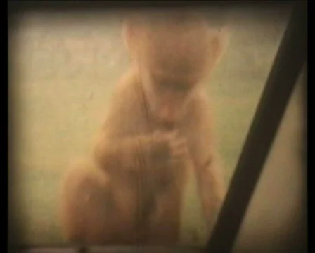 Retro cine_ Cheeky monkey Stock Footage 354408