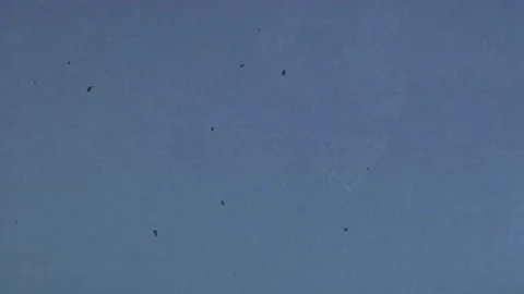 Retro Effect. Old Film Effect. Vintage film effects on blue screen. Film grain Stock Footage 165994495