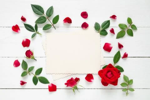 Retro empty photo frame for the inside and red rose flowers on white Stock Photos