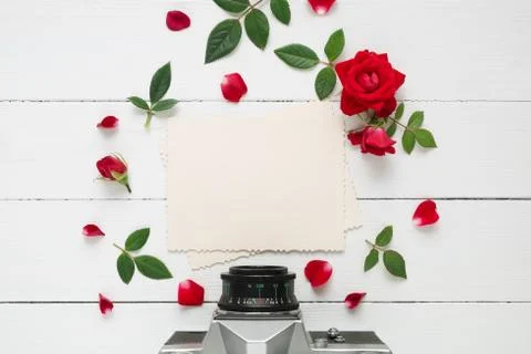 Retro empty photo frame for the inside, retro camera  and red rose flowers Stock Photos