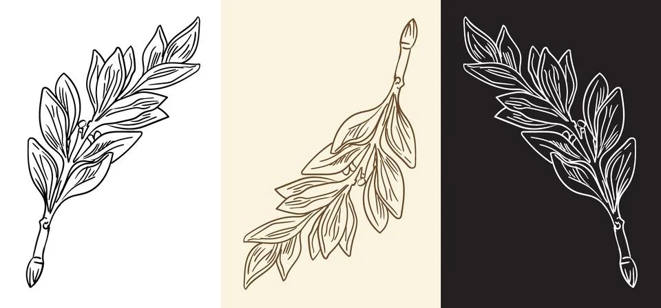 Retro engraving design element abstract leaf vector isolated illustrations Stock Illustration