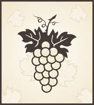 Retro engraving of grapevine Ilustração Stock