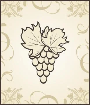 Retro engraving of grapevine Ilustração Stock