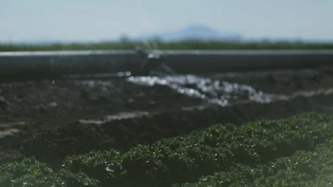 Retro Farm Stock Footage 94643659
