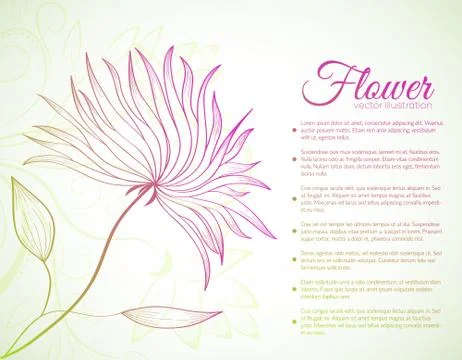 Retro flower background concept. Vector illustration Stock Illustration