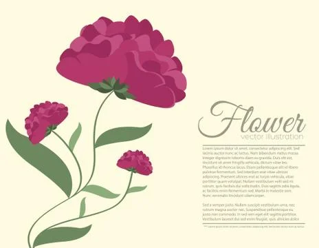 Retro flower background concept. Vector illustration Stock Illustration