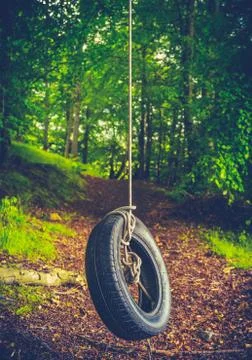 Retro Forest Tyre Swing Stock-Fotos