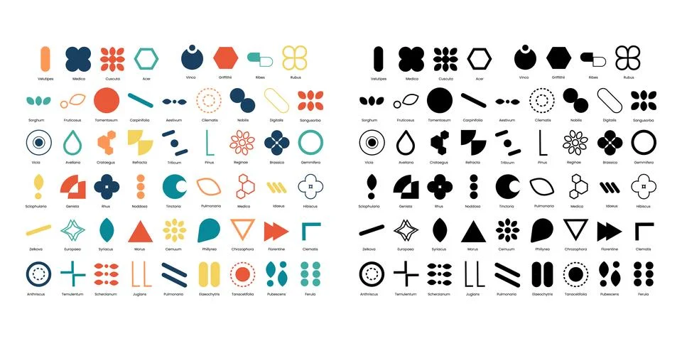 Retro Graphic Elements Set イラスト素材